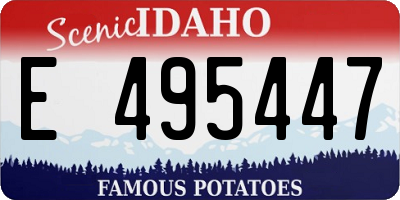 ID license plate E495447