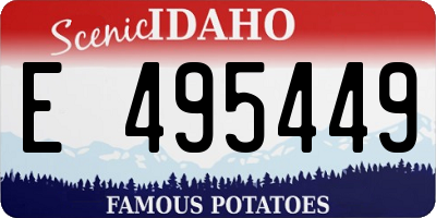 ID license plate E495449
