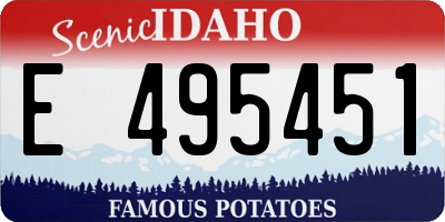 ID license plate E495451