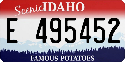 ID license plate E495452