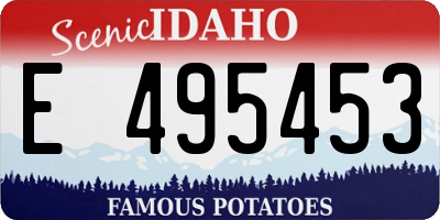 ID license plate E495453