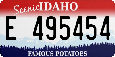 ID license plate E495454