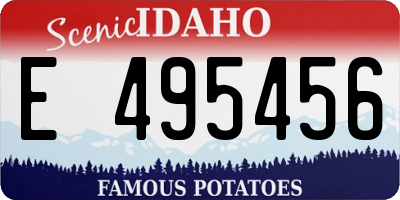 ID license plate E495456