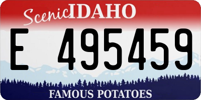 ID license plate E495459