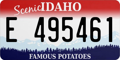 ID license plate E495461