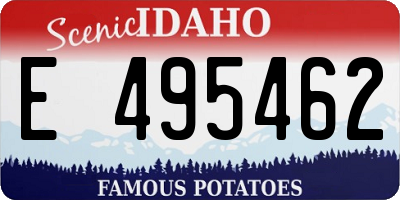 ID license plate E495462