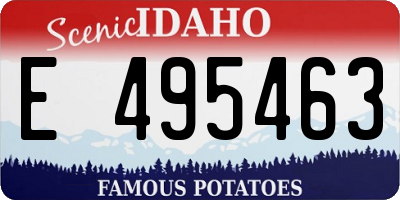 ID license plate E495463