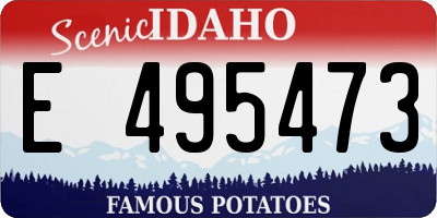 ID license plate E495473