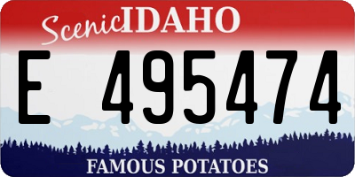 ID license plate E495474