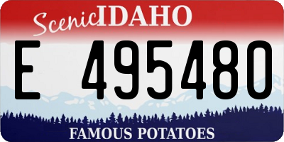 ID license plate E495480