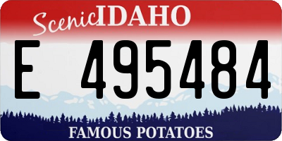 ID license plate E495484