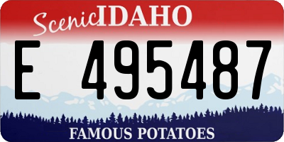 ID license plate E495487
