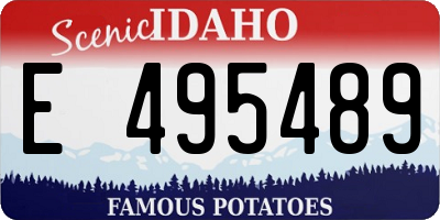 ID license plate E495489