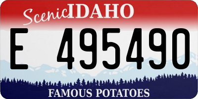 ID license plate E495490