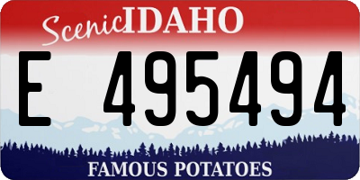 ID license plate E495494