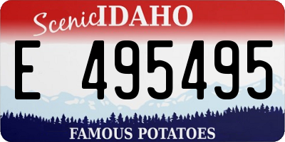 ID license plate E495495