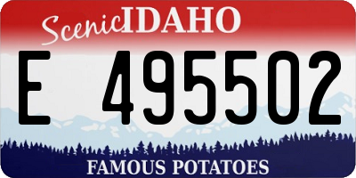 ID license plate E495502