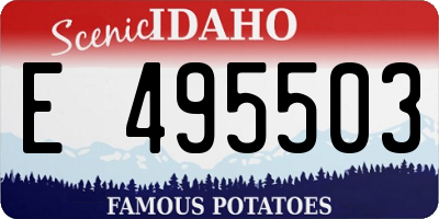 ID license plate E495503