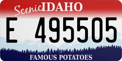 ID license plate E495505