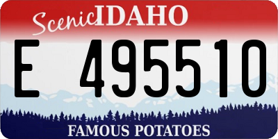 ID license plate E495510