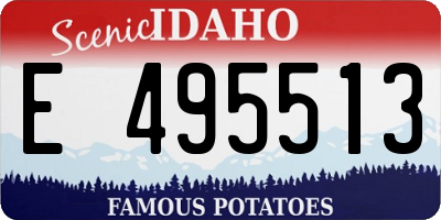 ID license plate E495513