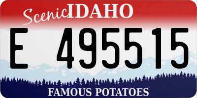 ID license plate E495515