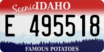 ID license plate E495518
