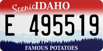 ID license plate E495519