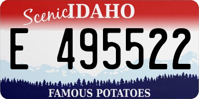 ID license plate E495522