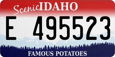 ID license plate E495523