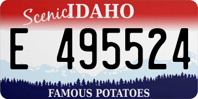 ID license plate E495524