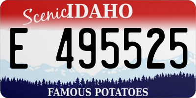 ID license plate E495525