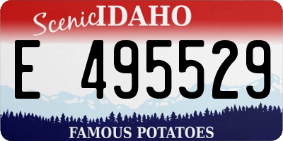 ID license plate E495529
