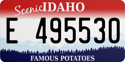 ID license plate E495530
