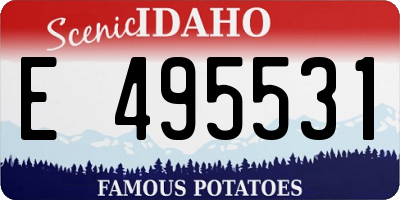 ID license plate E495531