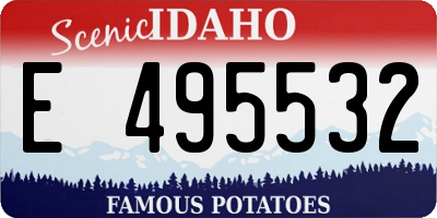 ID license plate E495532