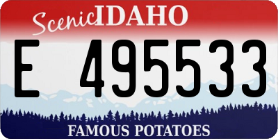 ID license plate E495533