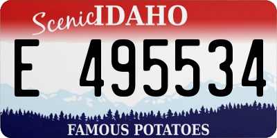 ID license plate E495534