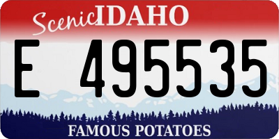 ID license plate E495535
