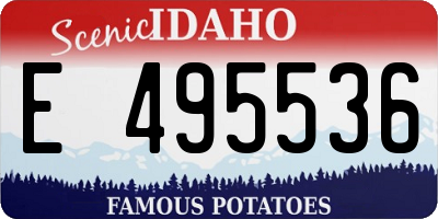 ID license plate E495536