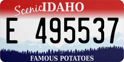 ID license plate E495537