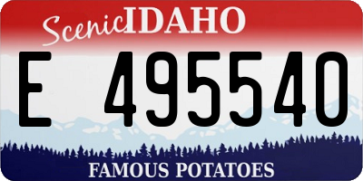 ID license plate E495540