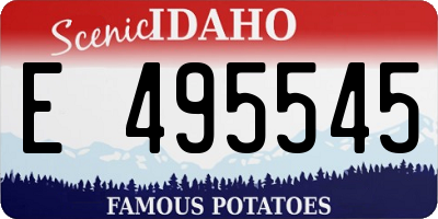 ID license plate E495545