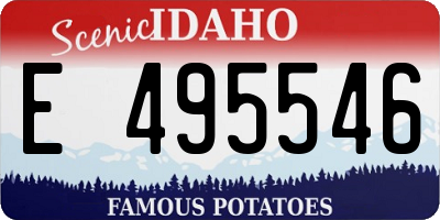 ID license plate E495546