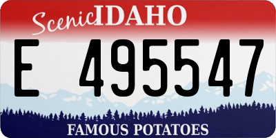ID license plate E495547