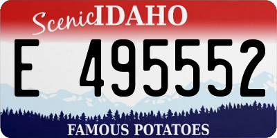 ID license plate E495552
