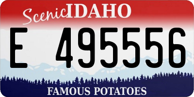 ID license plate E495556