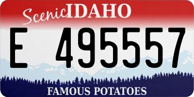 ID license plate E495557