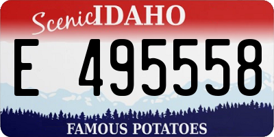 ID license plate E495558