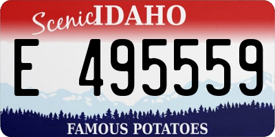 ID license plate E495559